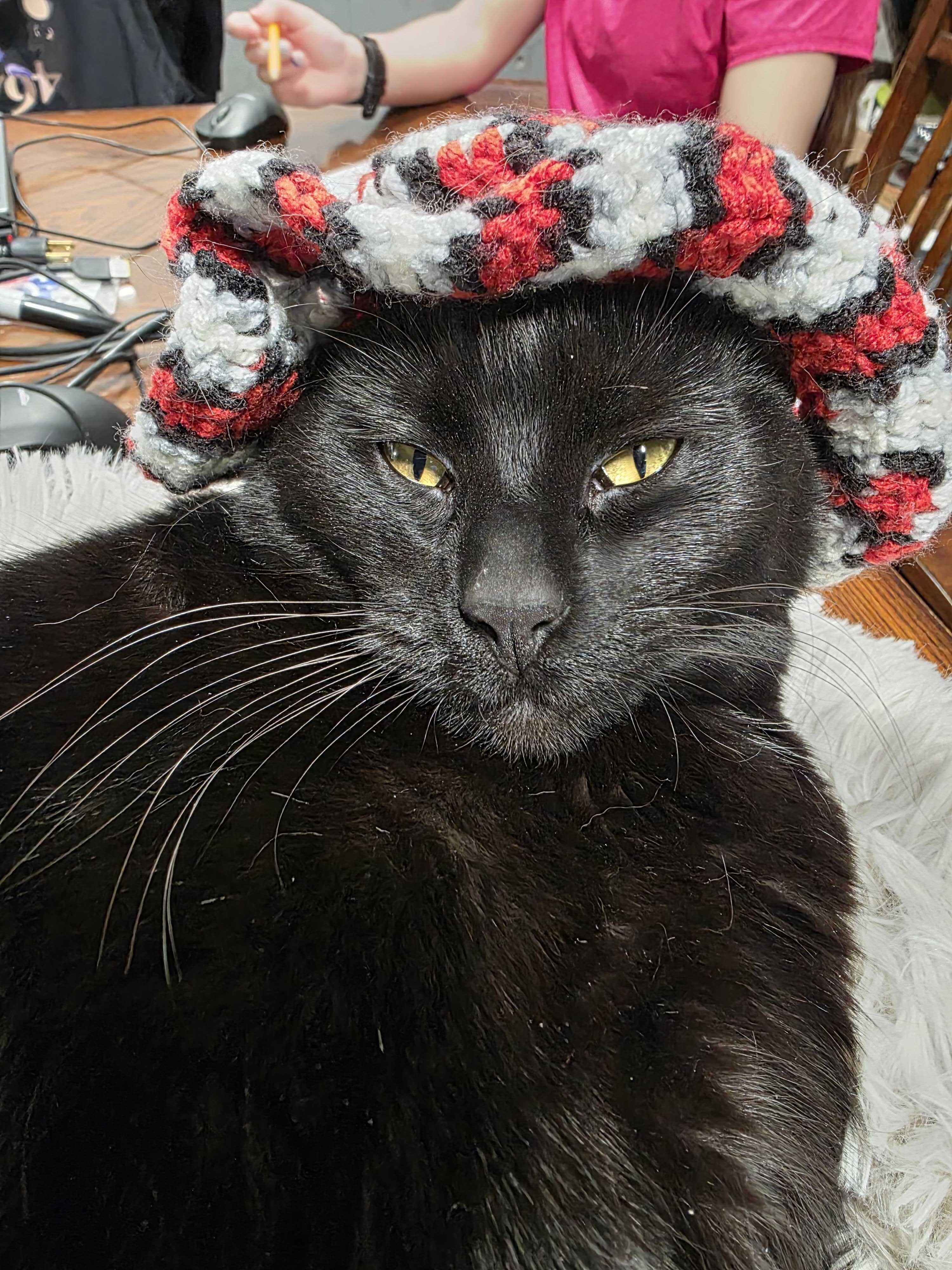 Bean with hat
