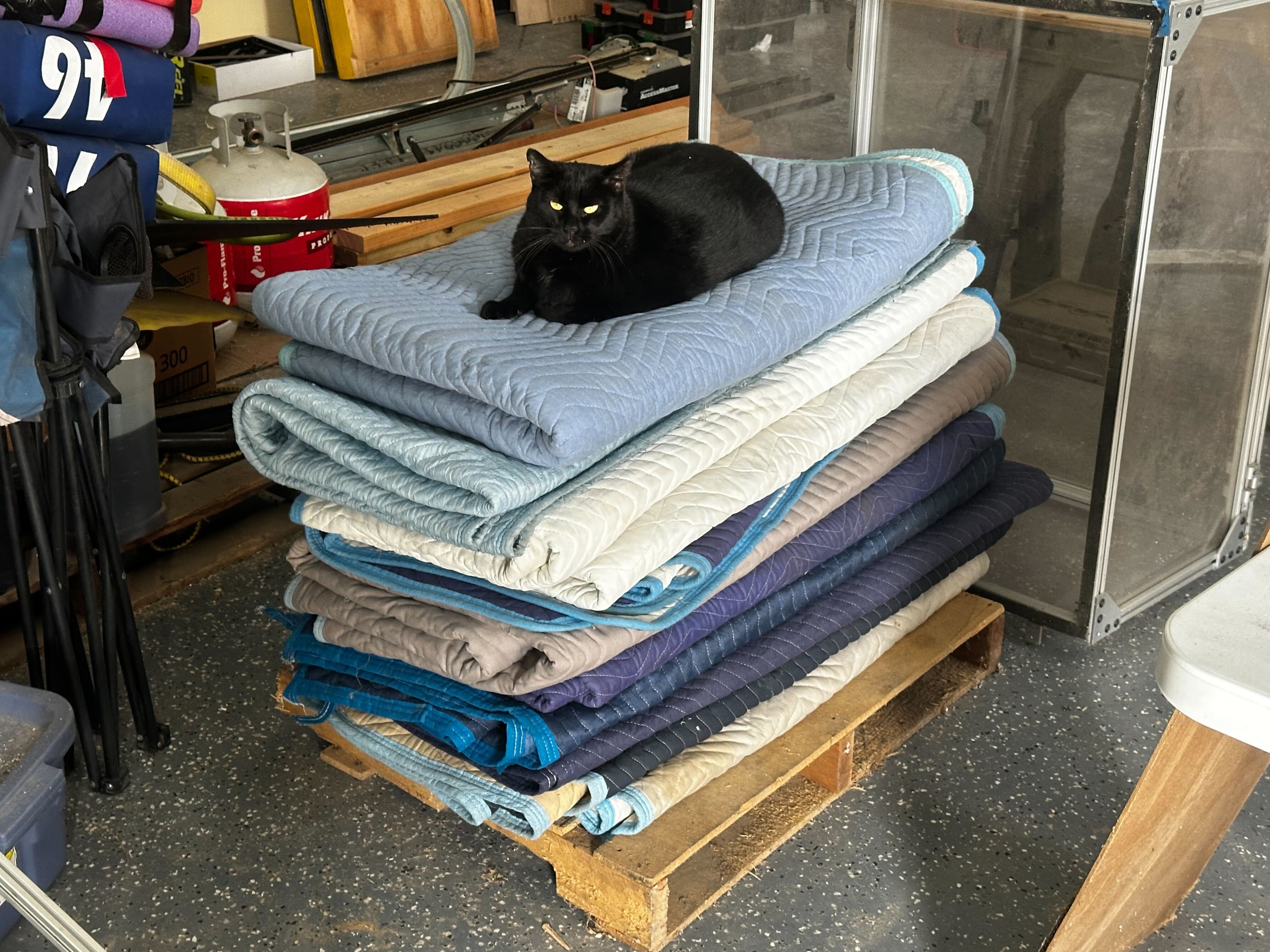 bean on mattresses
