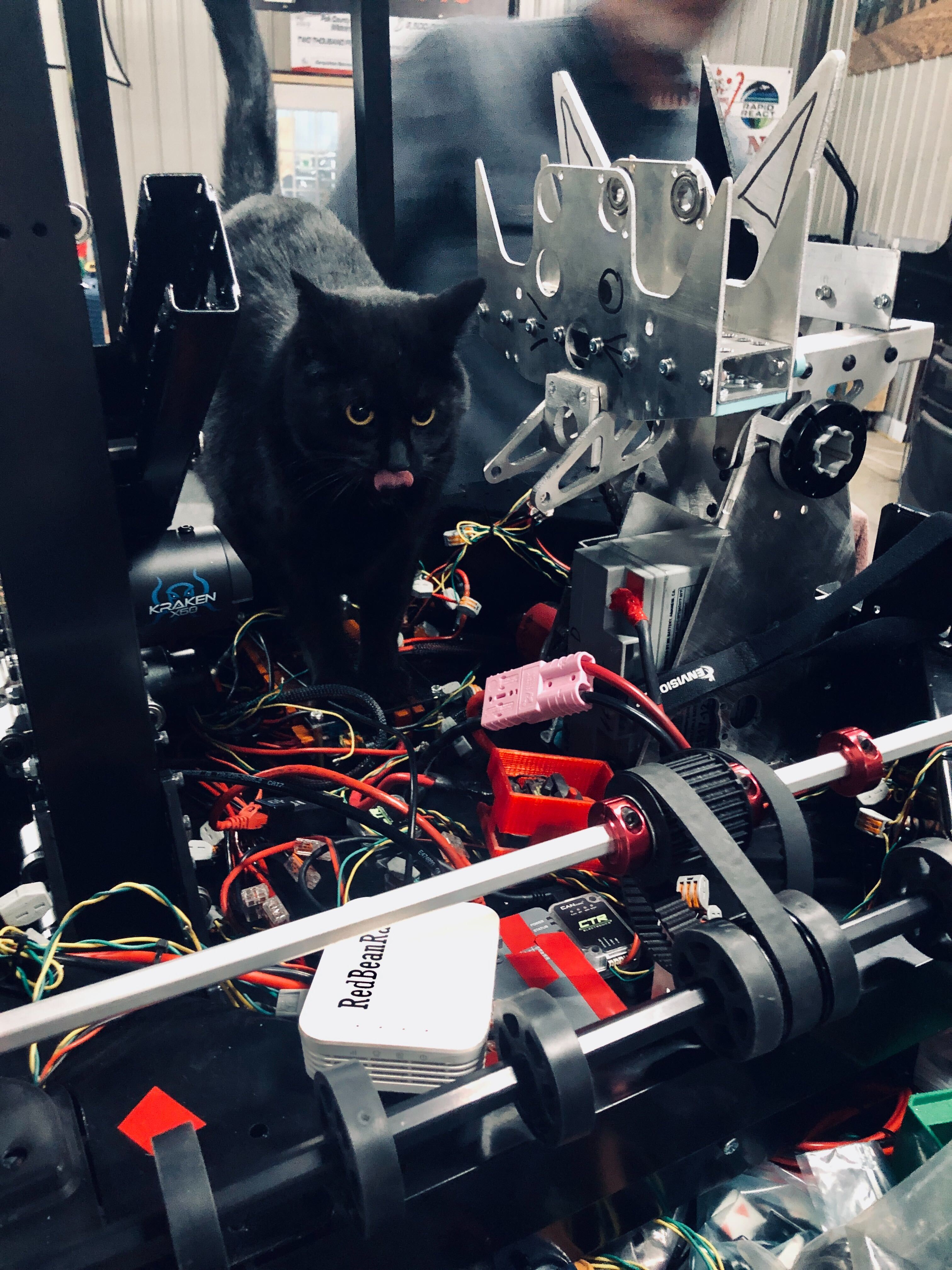 Bean in Alpha Bot
